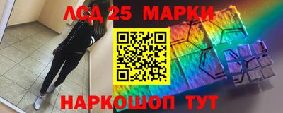 гидропоника Будённовск