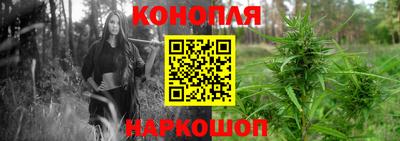гидропоника Будённовск