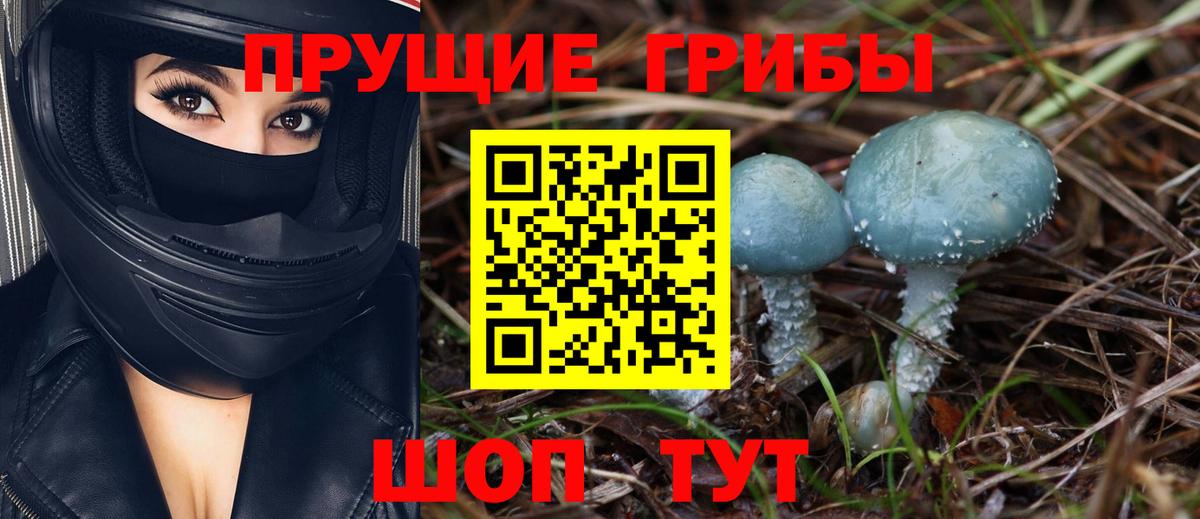 Псилоцибиновые грибы мицелий  Вход с VPN  Скопин  Галлюциногенные грибы Magic Shrooms 