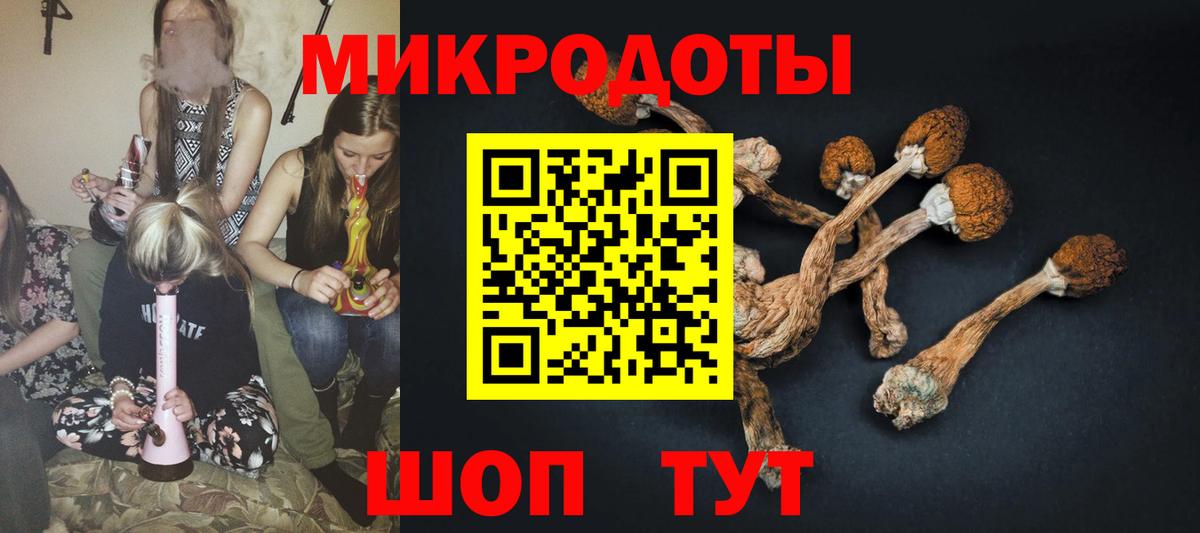 Галлюциногенные грибы Cubensis Скопин